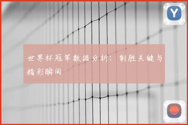 世界杯冠军数据分析:制胜关键与精彩瞬间