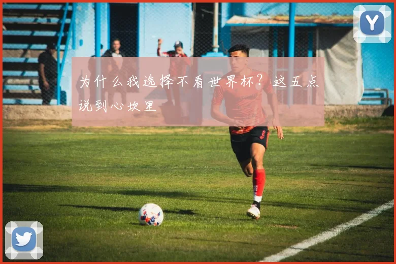为什么我选择不看世界杯?这五点说到心坎里