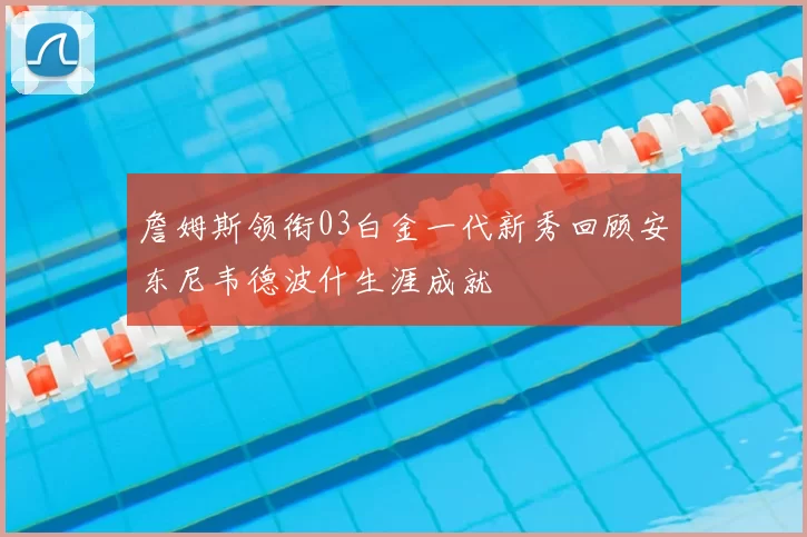 詹姆斯领衔03白金一代新秀回顾安东尼韦德波什生涯成就