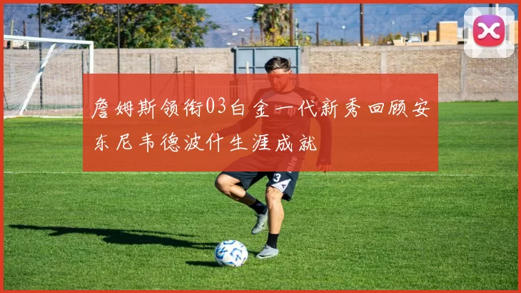 詹姆斯领衔03白金一代新秀回顾安东尼韦德波什生涯成就