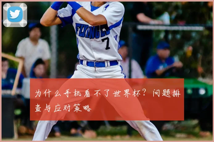 为什么手机看不了世界杯?问题排查与应对策略