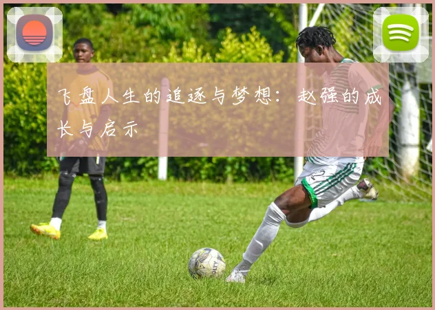 飞盘人生的追逐与梦想：赵强的成长与启示