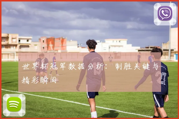 世界杯冠军数据分析:制胜关键与精彩瞬间