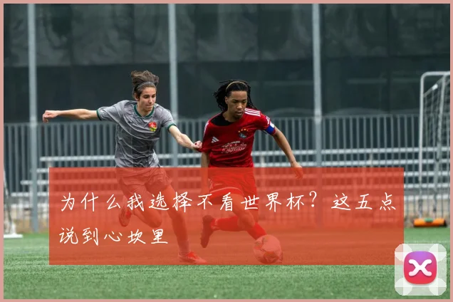 为什么我选择不看世界杯？这五点说到心坎里