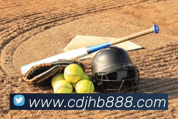 华体会体育平台生态图