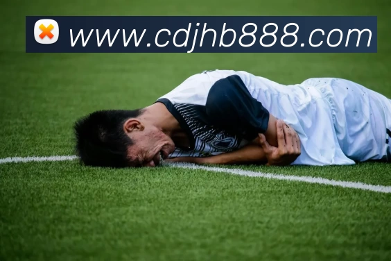 华体会体育APP 封面图